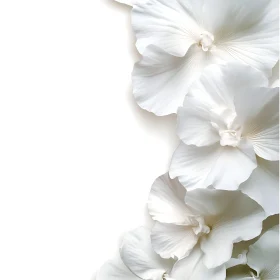 Delicate White Flower Petals in Minimalist Composition