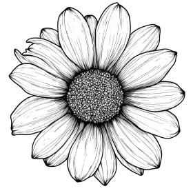 Detailed Botanical Illustration of a Flower