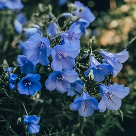 Delicate Blue Petals Amidst Green Foliage