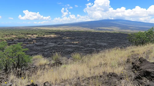 Volcanic Lava Field and Mountain