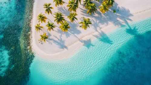 Island Paradise: Aerial View with Palm Trees and Turquoise Waters