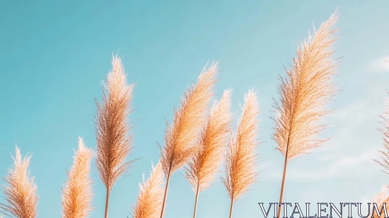 AI ART Serene Pampas Grass in Sunlight