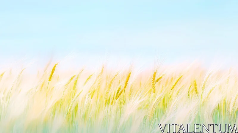 AI ART Tranquil Wheat Field with Sunlight