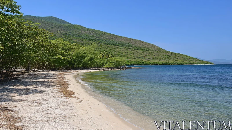 AI ART Serene Sandy Shoreline with Forest and Mountain Backdrop