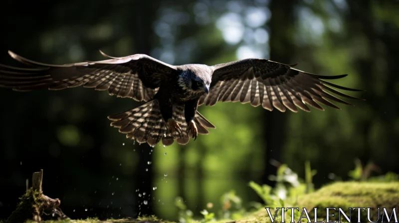 Black Bird Soaring Above Forest - Emotional and Atmospheric Photography AI Image
