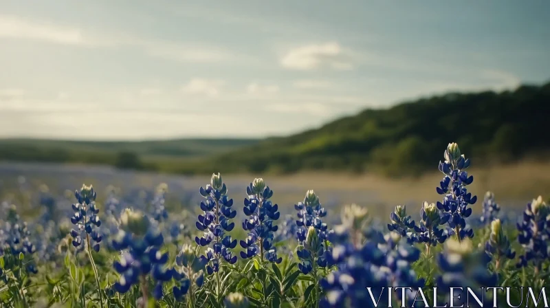 AI ART Bluebonnet Flower Field in Nature