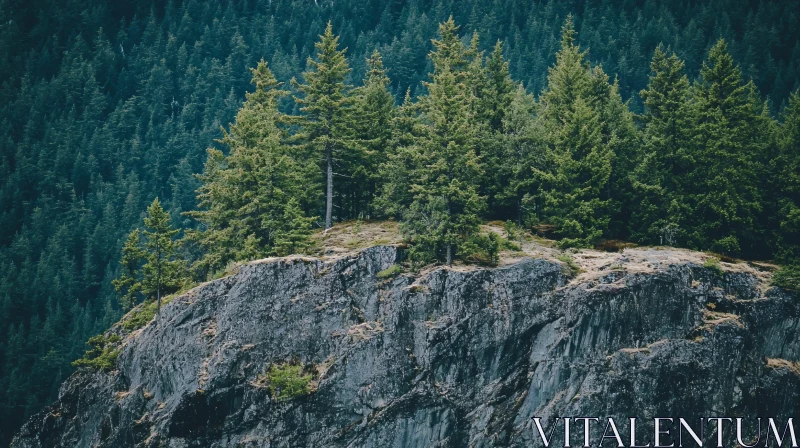 AI ART Forested Mountain Ridge with Rugged Rocks