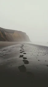 Serene Misty Coastal Landscape