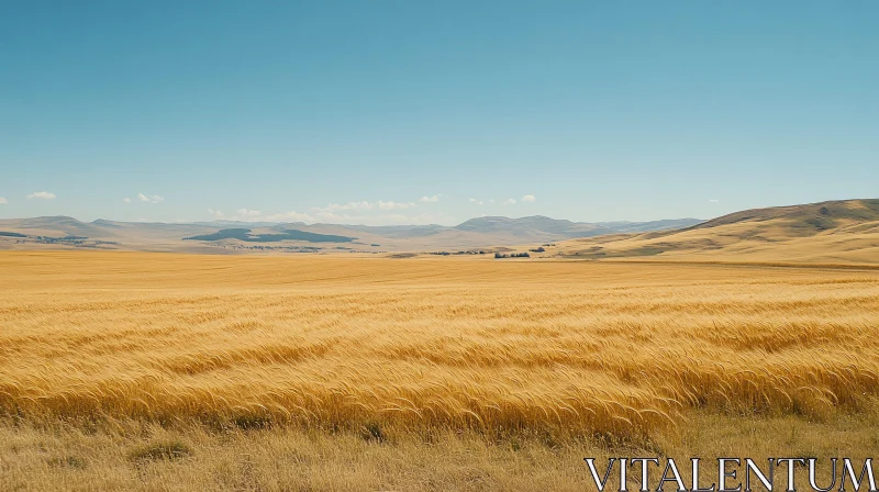 AI ART Expansive Wheat Field with Rolling Hills