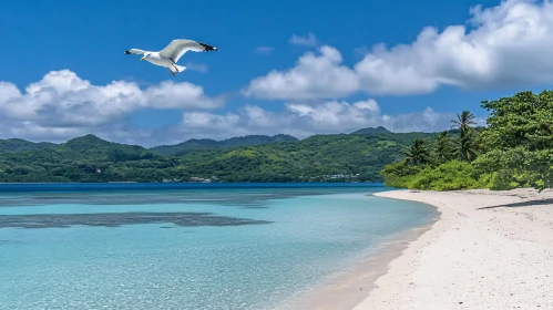 Tranquil Beach Scene with Seagull and Tropical Vegetation