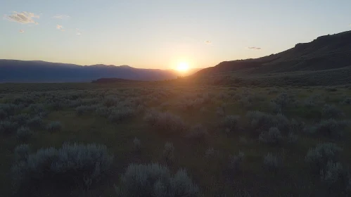 Peaceful Evening Landscape with Sunset