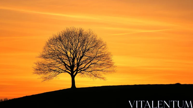 Silhouetted Tree During Sunset AI Image