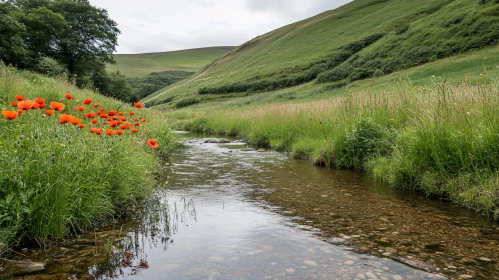 Serene Valley Stream with Red Poppies