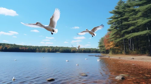 Tranquil Lake Scene with Graceful Birds in Flight