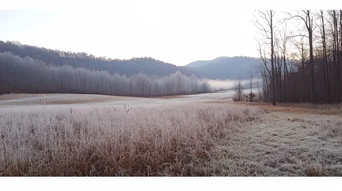 Frosty Morning in a Tranquil Field