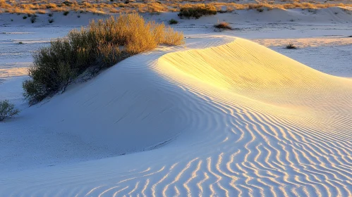 Desert Sand Dunes at Sunset