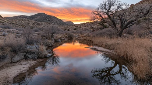 Desert River Sunset and Reflection