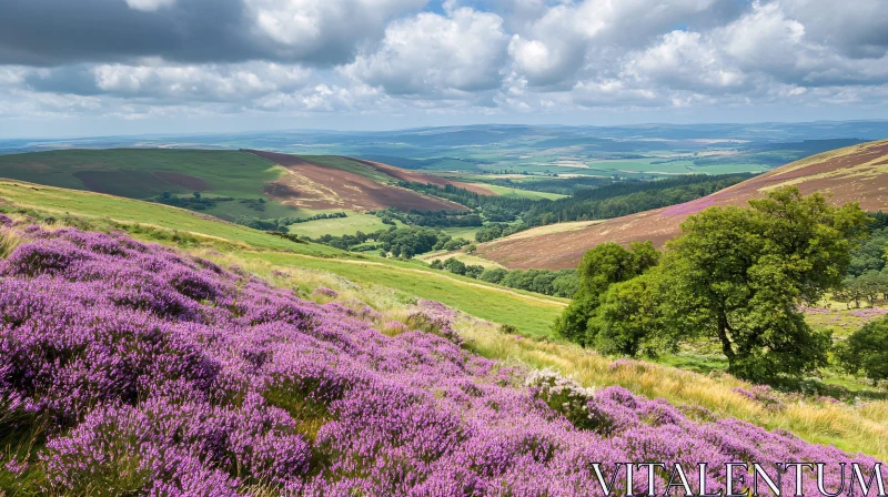 AI ART Lavender Fields Sprawling Across Serene Rolling Hills