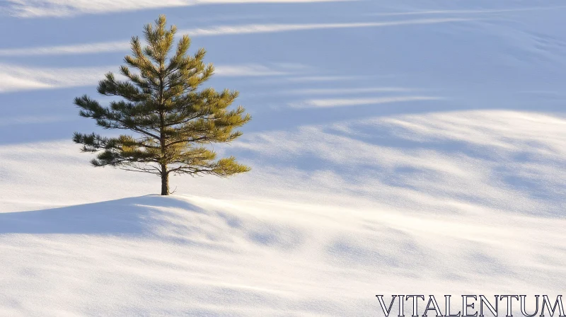 Lone Pine Tree in White Winter Wonderland AI Image