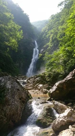 Peaceful Waterfall Amidst Lush Greenery