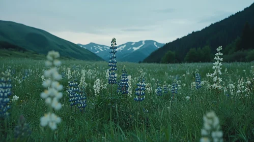 Wildflower Meadow with Mountain Backdrop