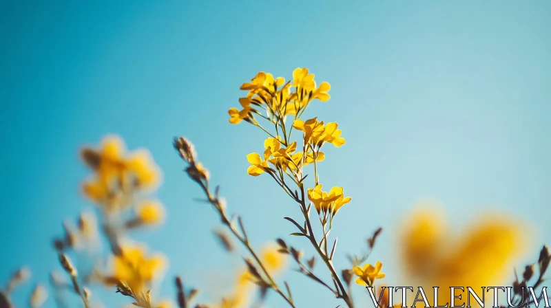 AI ART Beautiful Yellow Blossoms with Blue Background