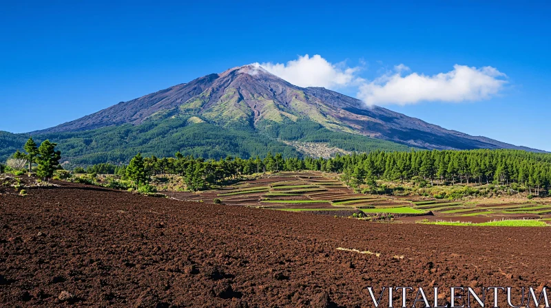 Picturesque Mountain Landscape with Fields and Trees AI Image