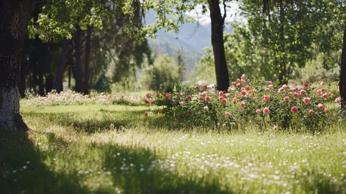 Peaceful Garden Scene with Pink Roses