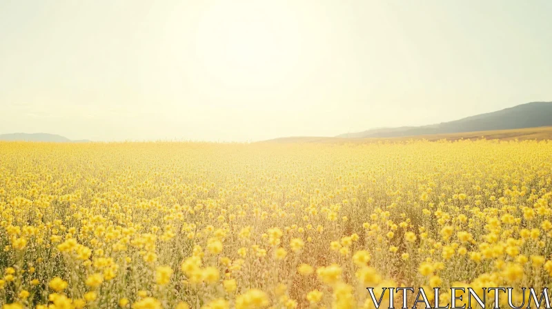 AI ART Expansive Meadow Bathed in Sunlight