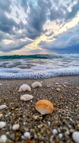 Shells on Sandy Beach with Waves and Cloudy Sky