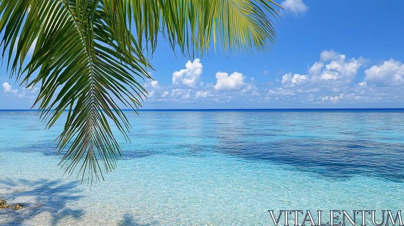 Idyllic Beach with Palm Leaf and Clear Blue Ocean AI Image