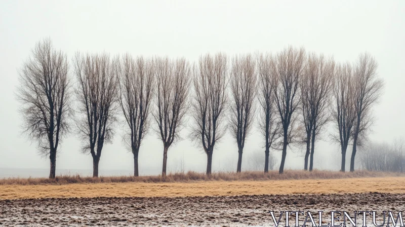 Winter Scene with Fog and Bare Trees AI Image