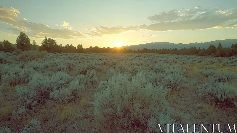 AI ART Golden Sunset Over a Tranquil Field