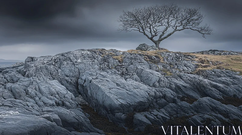 Solitary Tree amidst Rocky Terrain AI Image