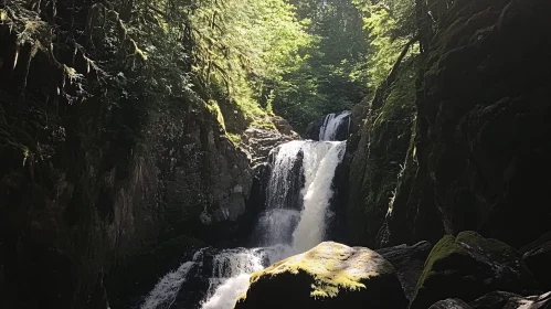 Tranquil Waterfall and Mossy Rocks