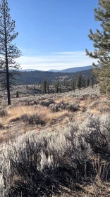 Rugged Terrain with Dry Vegetation and Blue Sky