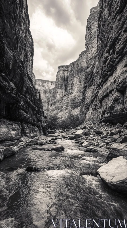 AI ART Black and White Canyon River Scene