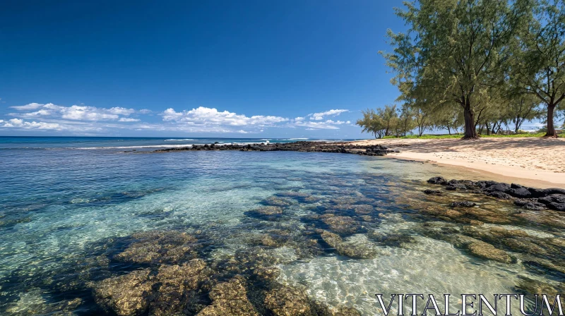 Peaceful Oceanfront with Blue Sky and Trees AI Image