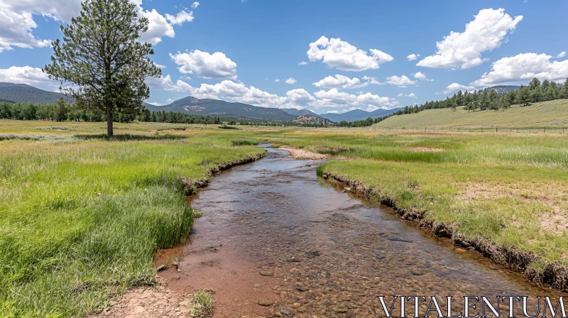 AI ART Picturesque Stream in Green Meadow with Mountain Scenery