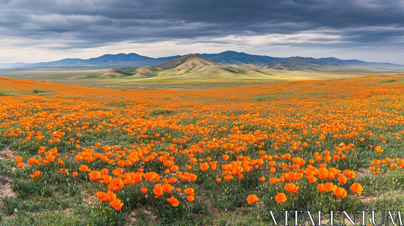 Orange Poppy Field in Front of Mountains AI Image