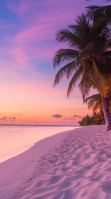 Tropical Sunset Beach with Palm Trees Silhouette