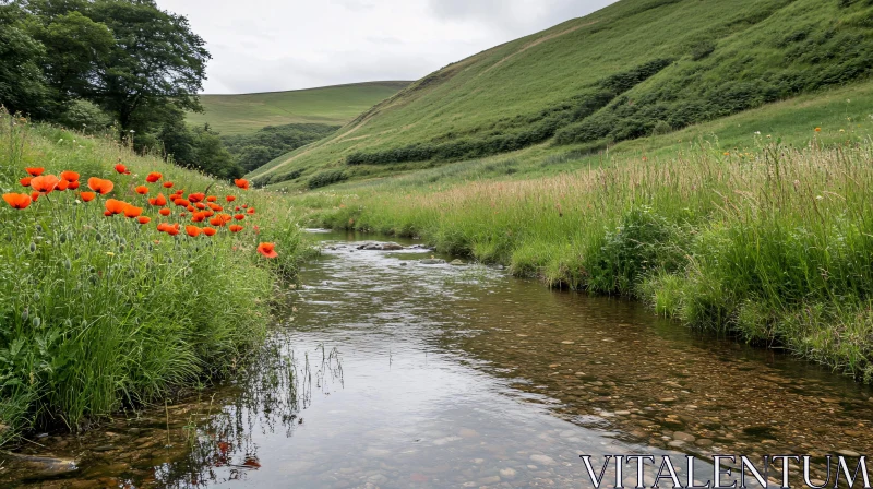 Serene Valley Stream with Red Poppies AI Image