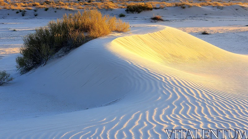 AI ART Desert Sand Dunes at Sunset