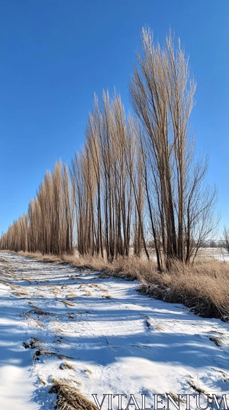 Winter Landscape of Barren Trees and Snow AI Image