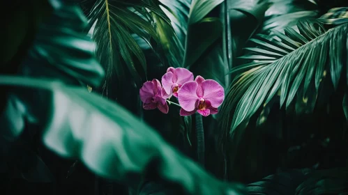 Tropical Greenery and Blooming Pink Orchids