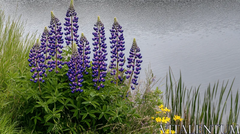 Purple Lupines with Calm Lake Background AI Image