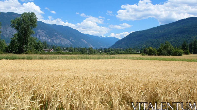 Rural Countryside with Wheat Field and Mountains AI Image