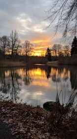 Tranquil Evening at the Lake