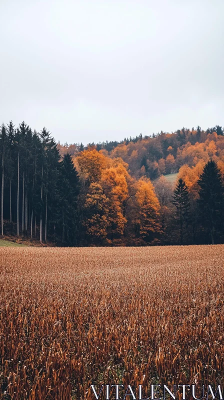 AI ART Fall Landscape with Trees and Field