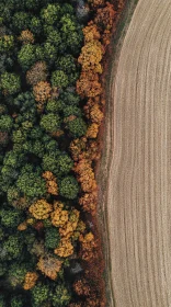 Forest and Field Aerial Photography